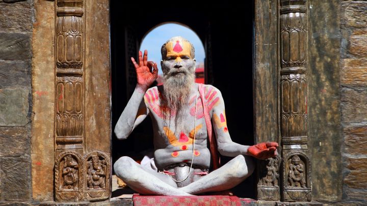 Die Wahrheit über die wahren Yogis