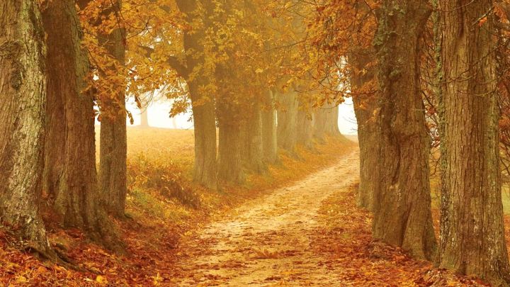 Die 5 besten Strategien gegen den Herbst-Blues